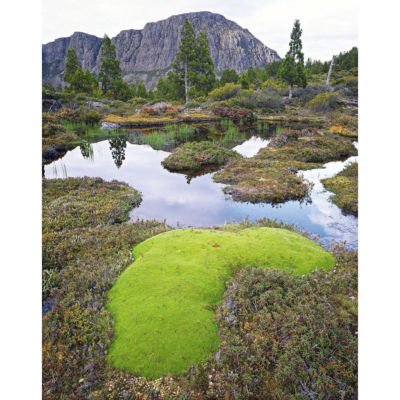 Peter Dombrovskis - Walls of Jerusalem