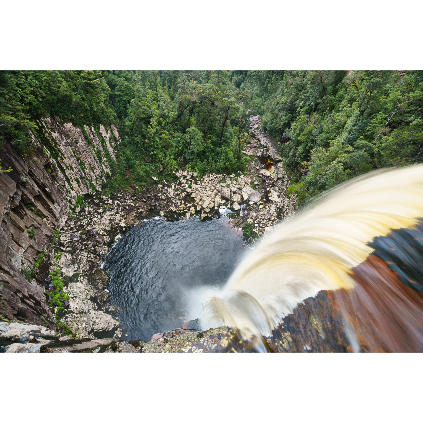 Grant Dixon - Rainforest plunge pool, southwest Tasmania