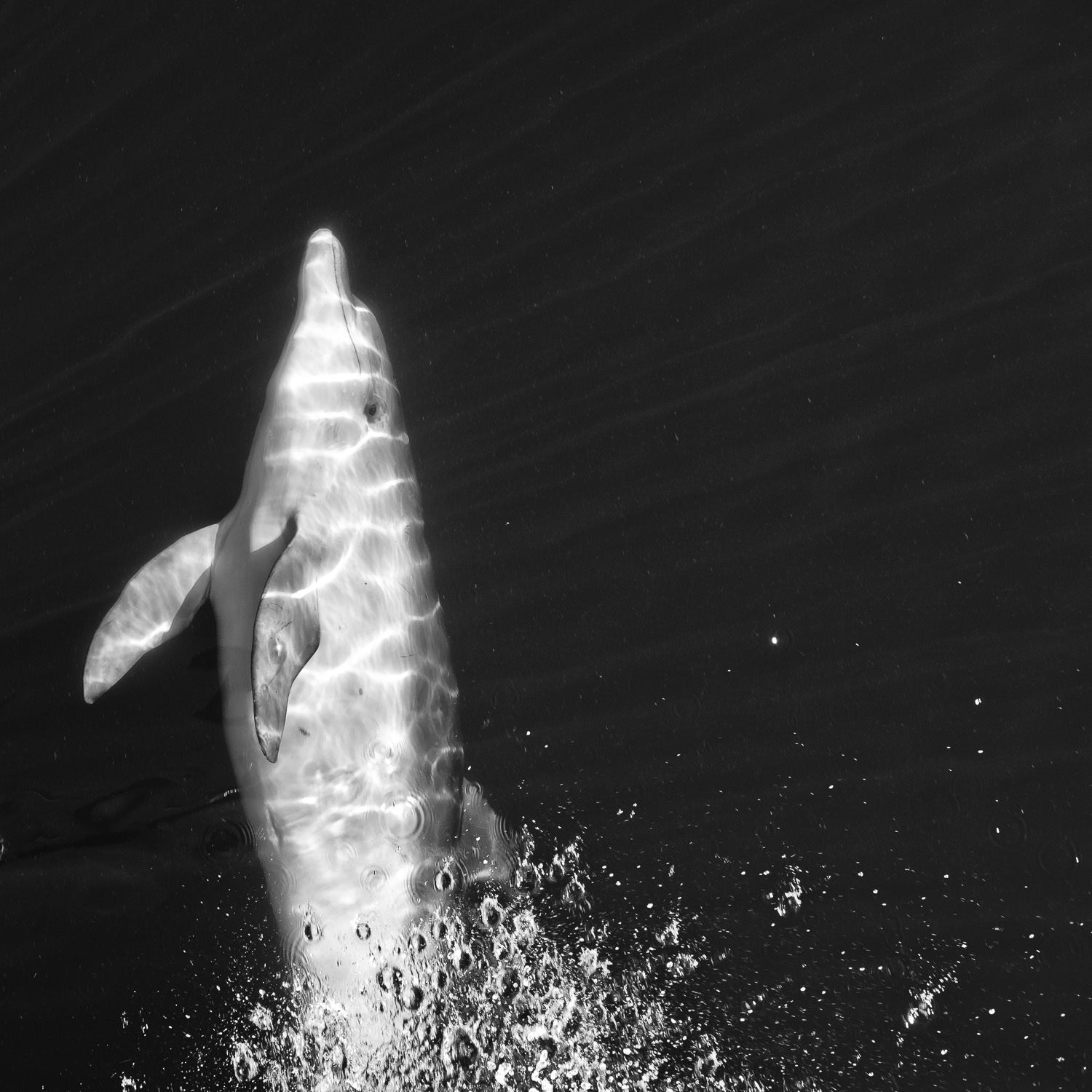 Loic Le Guilly - Hello