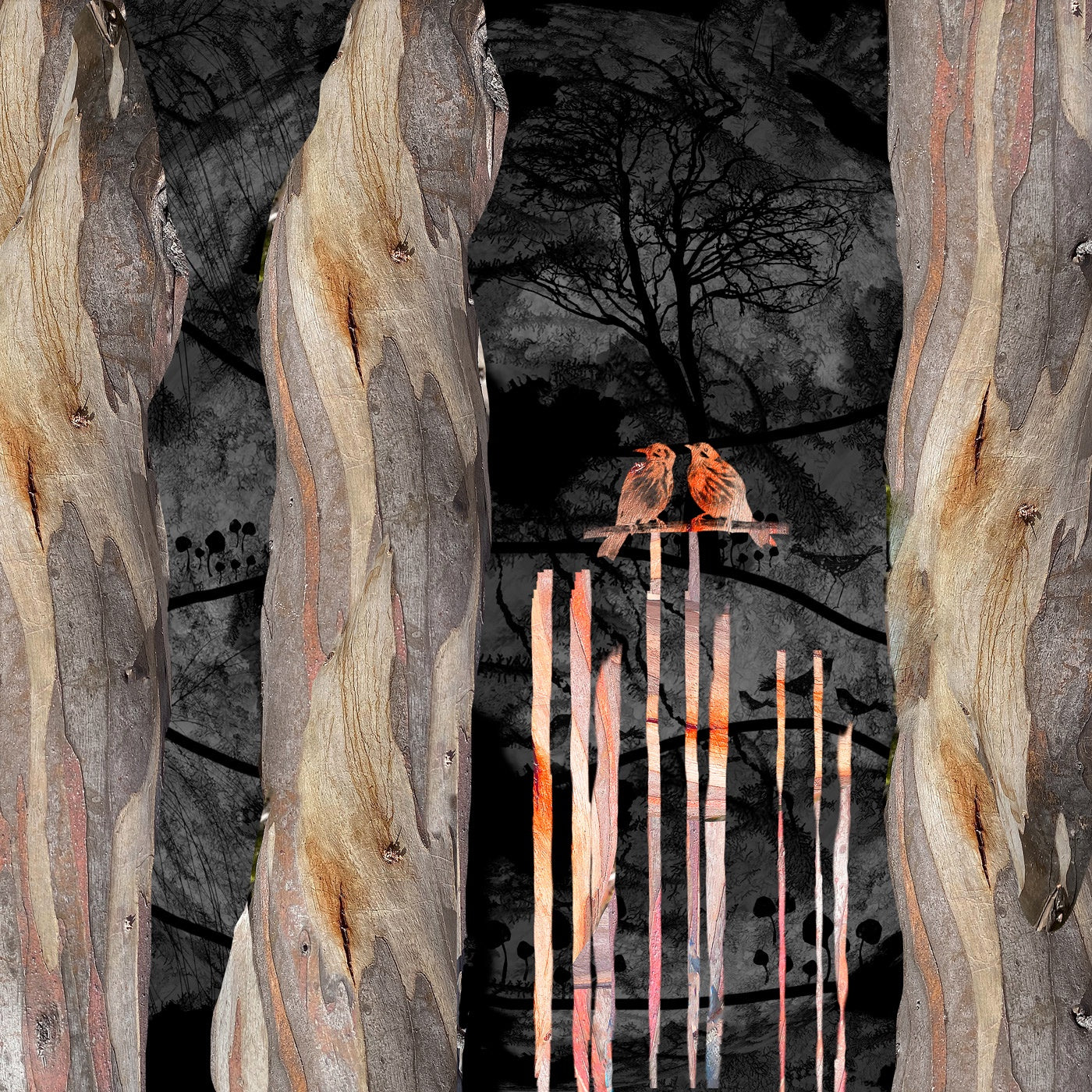 Barbara Tassell - Hanging in the Wind