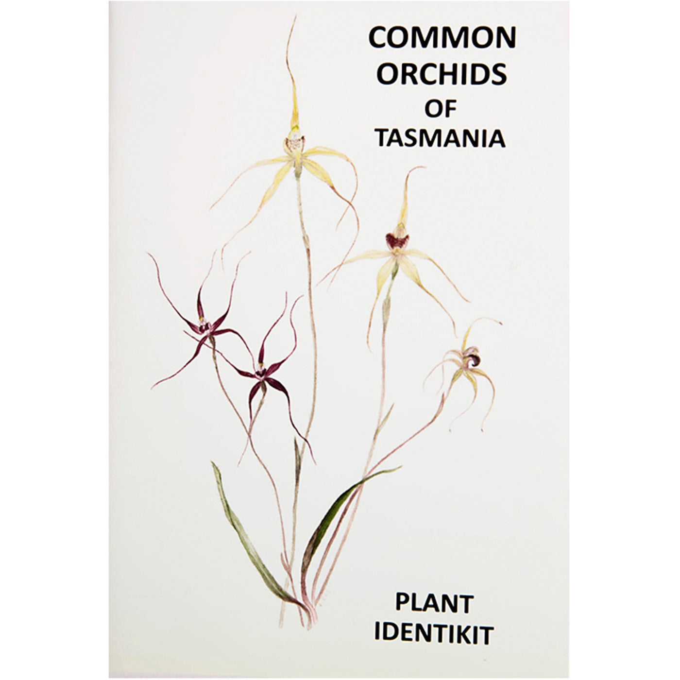 Plant Identikit - Common Orchids of Tasmania