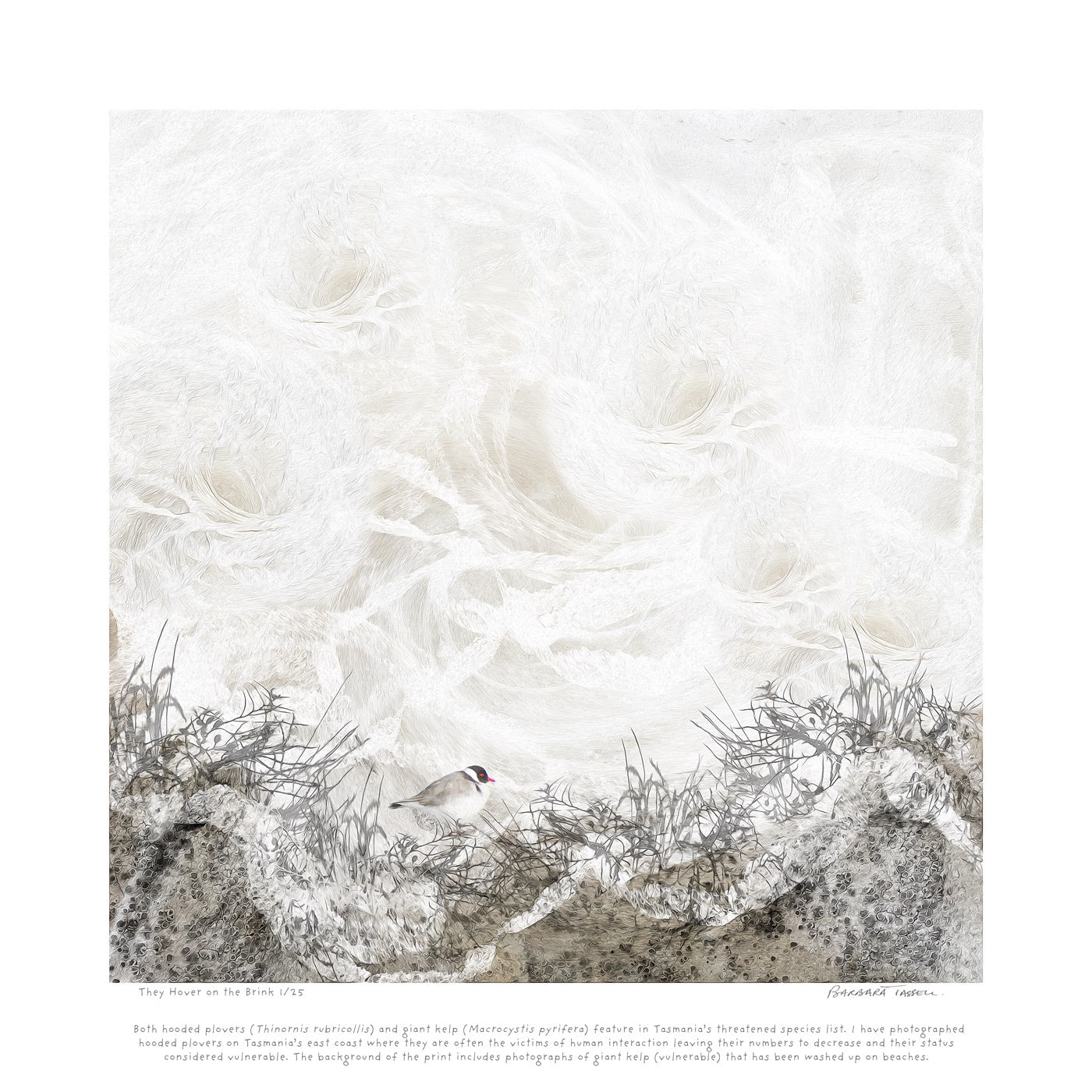 Barbara Tassell - They Hover On  The Brink