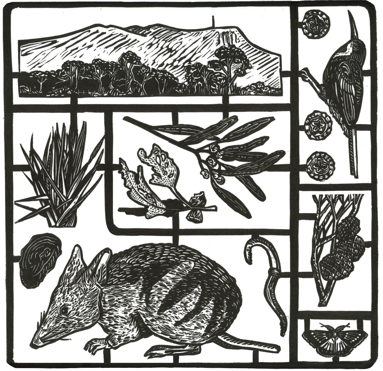 Belinda Hall - Under Construction