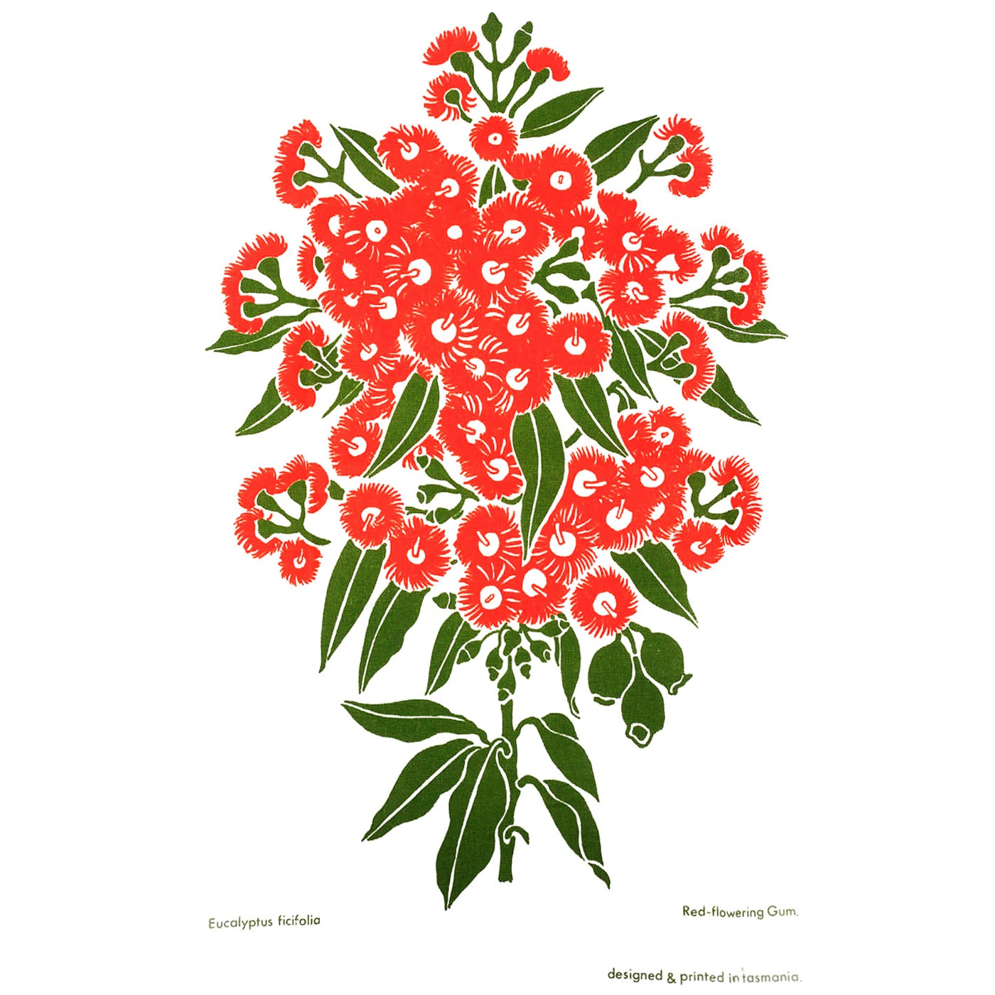 The T-Towel Gallery - Tea Towel - Red Flowering Gum