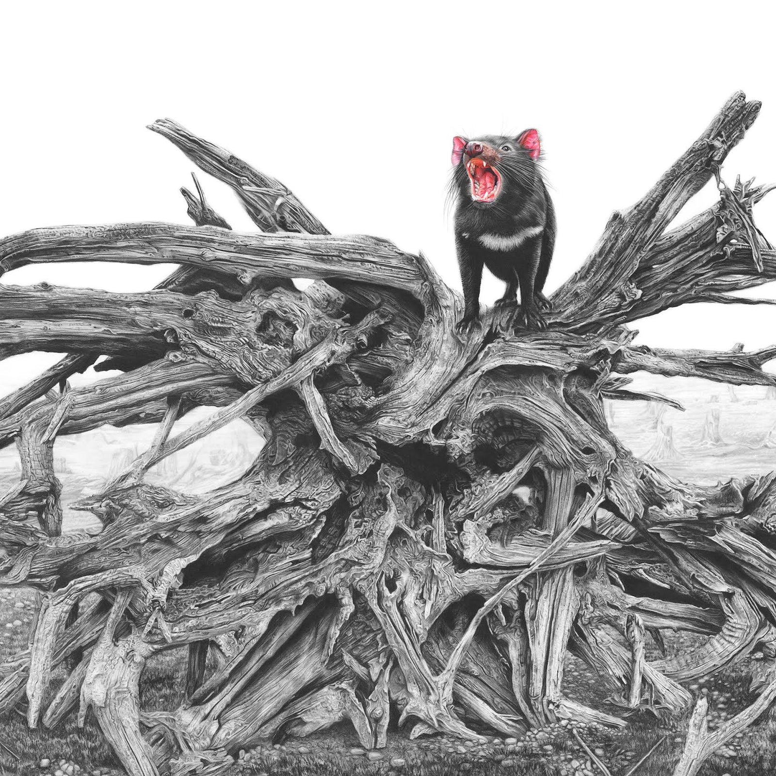 Fiona Francois - Devil's Advocate