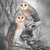 Fiona Francois - Tasmanian Masked Owls