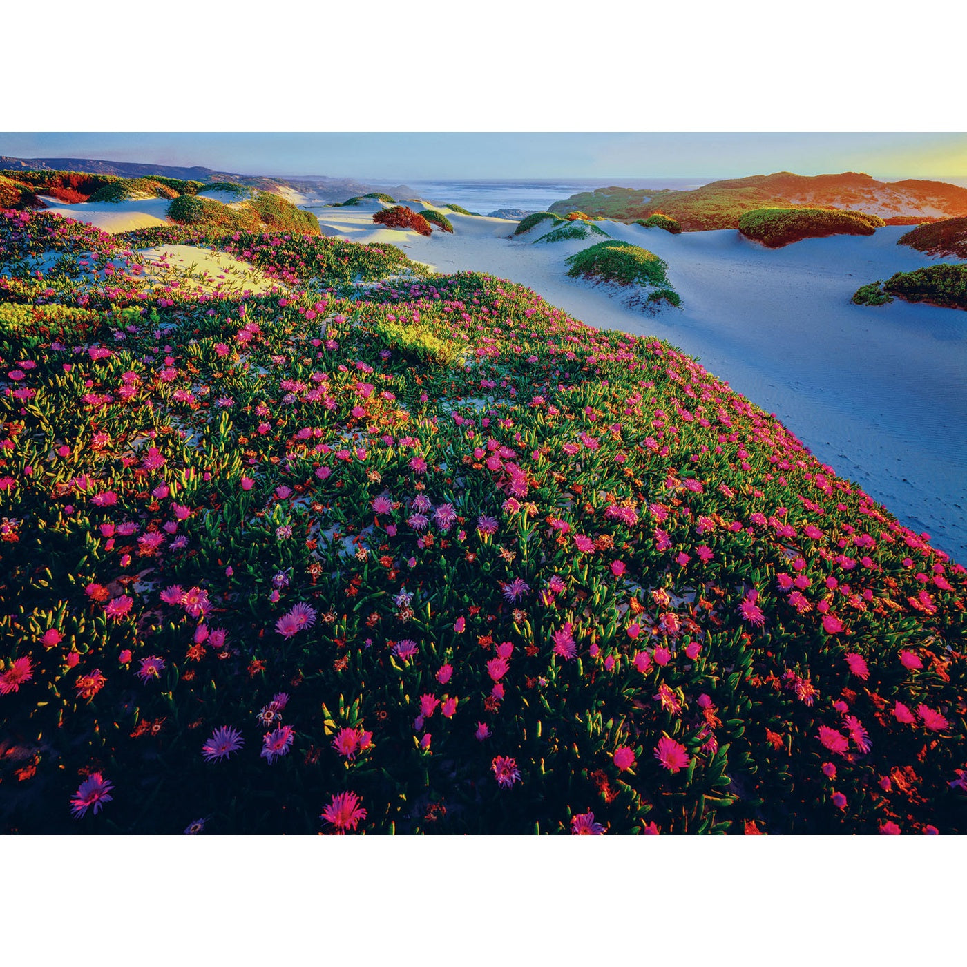 Rob Blakers - Takayna - Evening Light