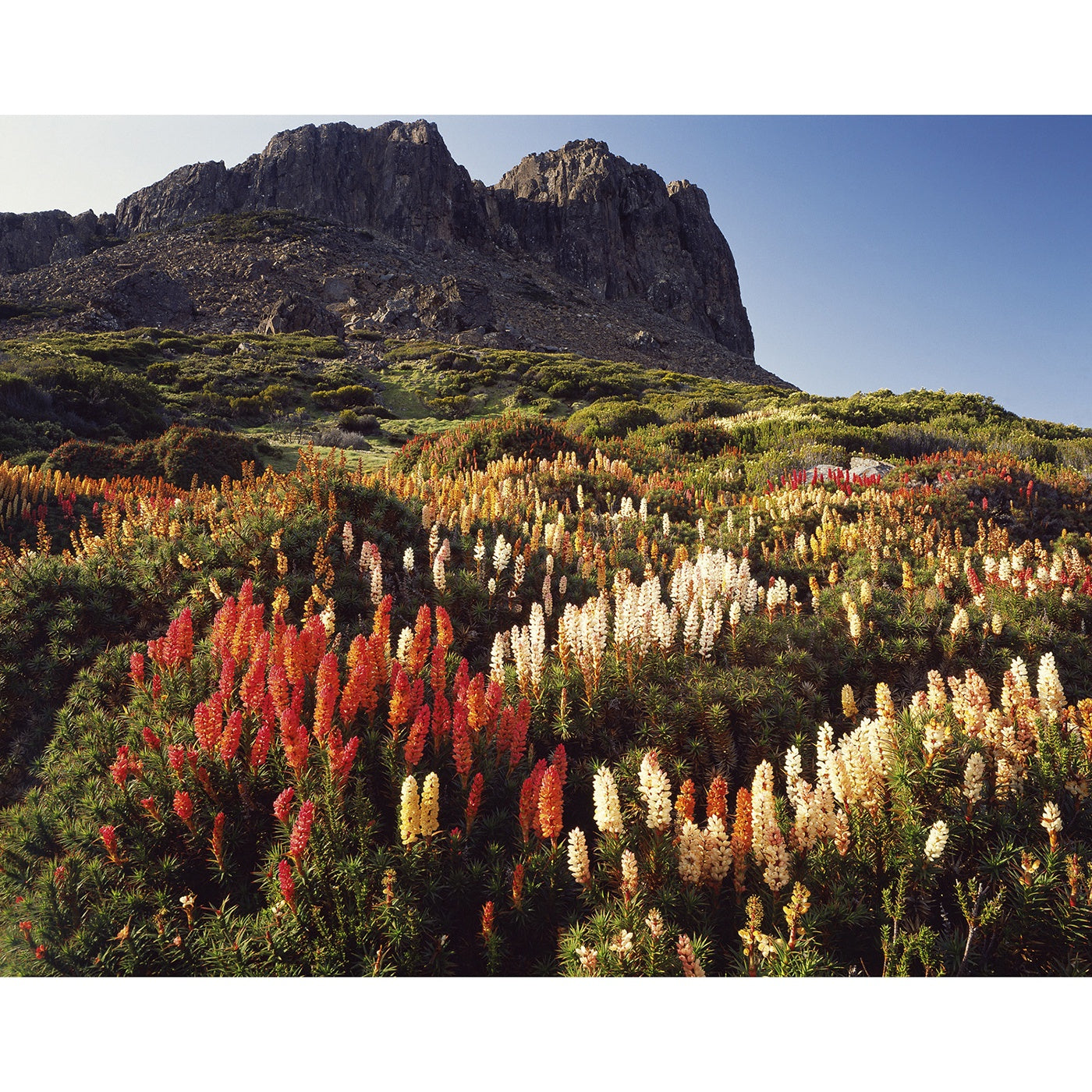 Peter Dombrovskis - Halls Buttress