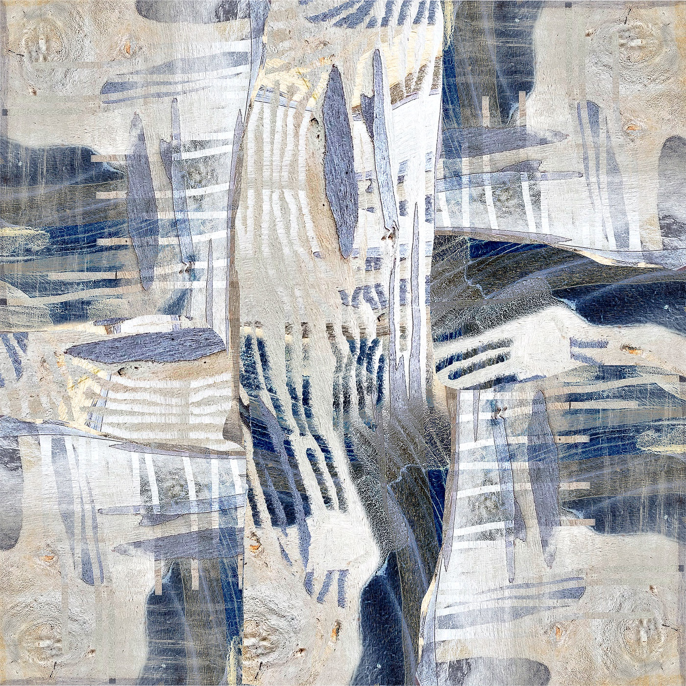 Barbara Tassell - The Balance of Bark