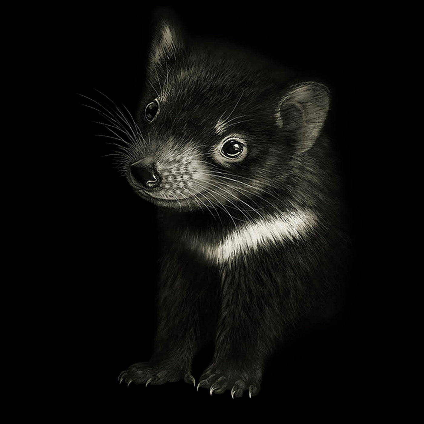 Rebecca Robinson - Card - Tasmanian Devil