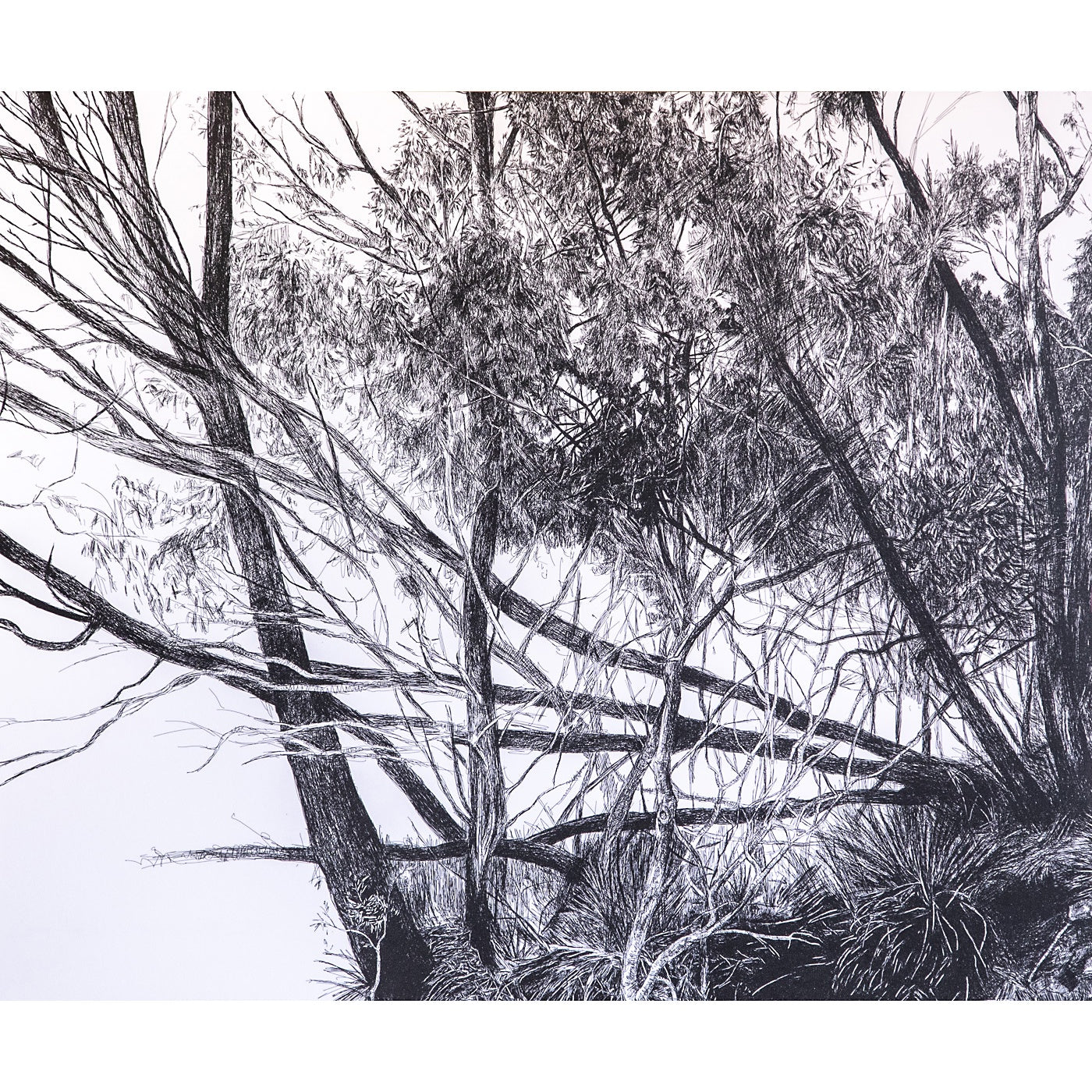 Russell Joyce - Reach