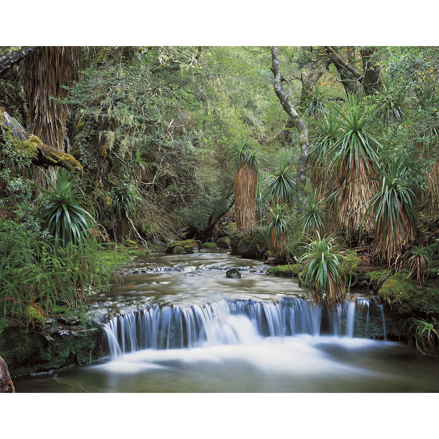 Peter Dombrovskis - Cephisus Creek