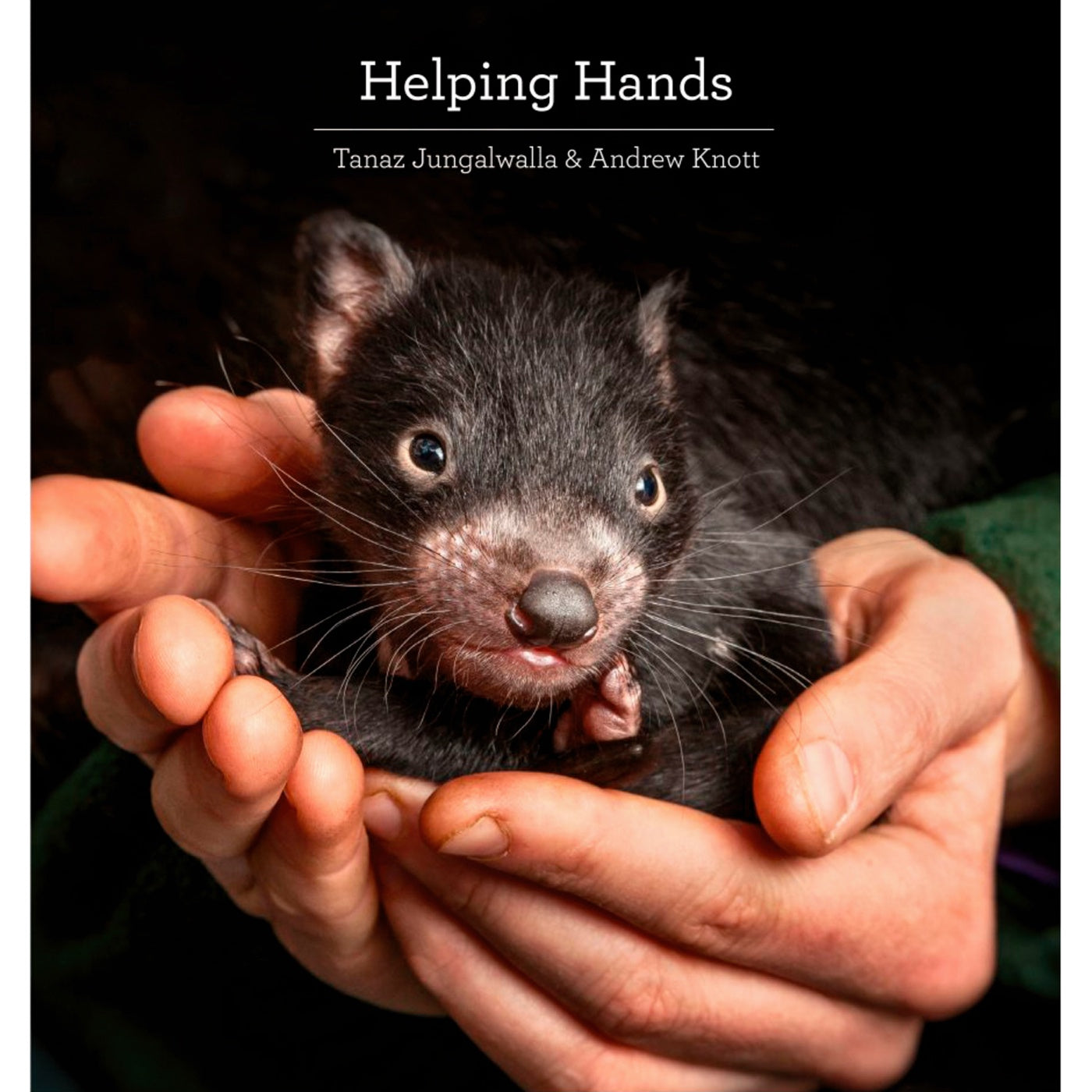 Helping Hands by Tanaz Jungalwalla & Andrew Knott