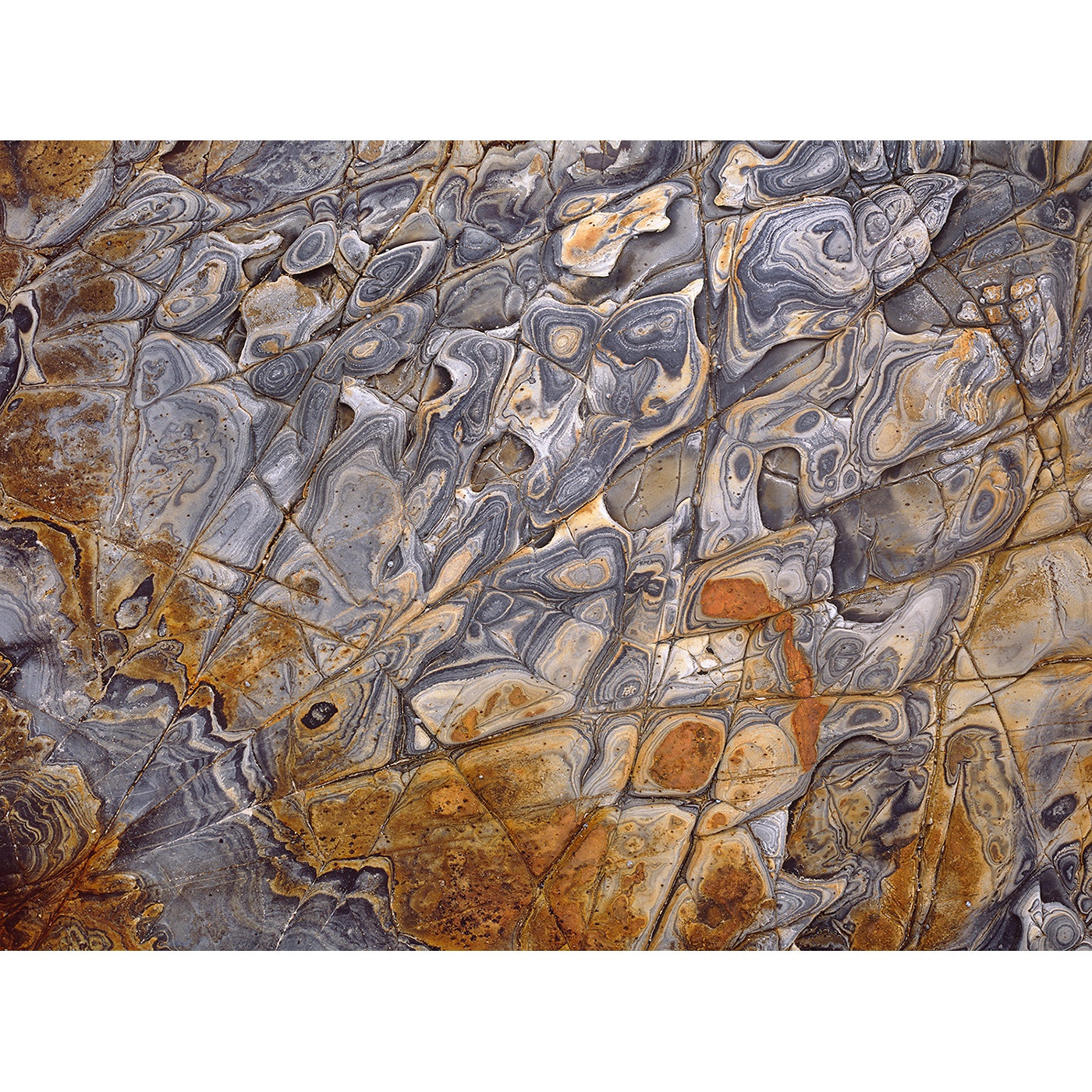 Chris Bell - Raven, Rock Detail