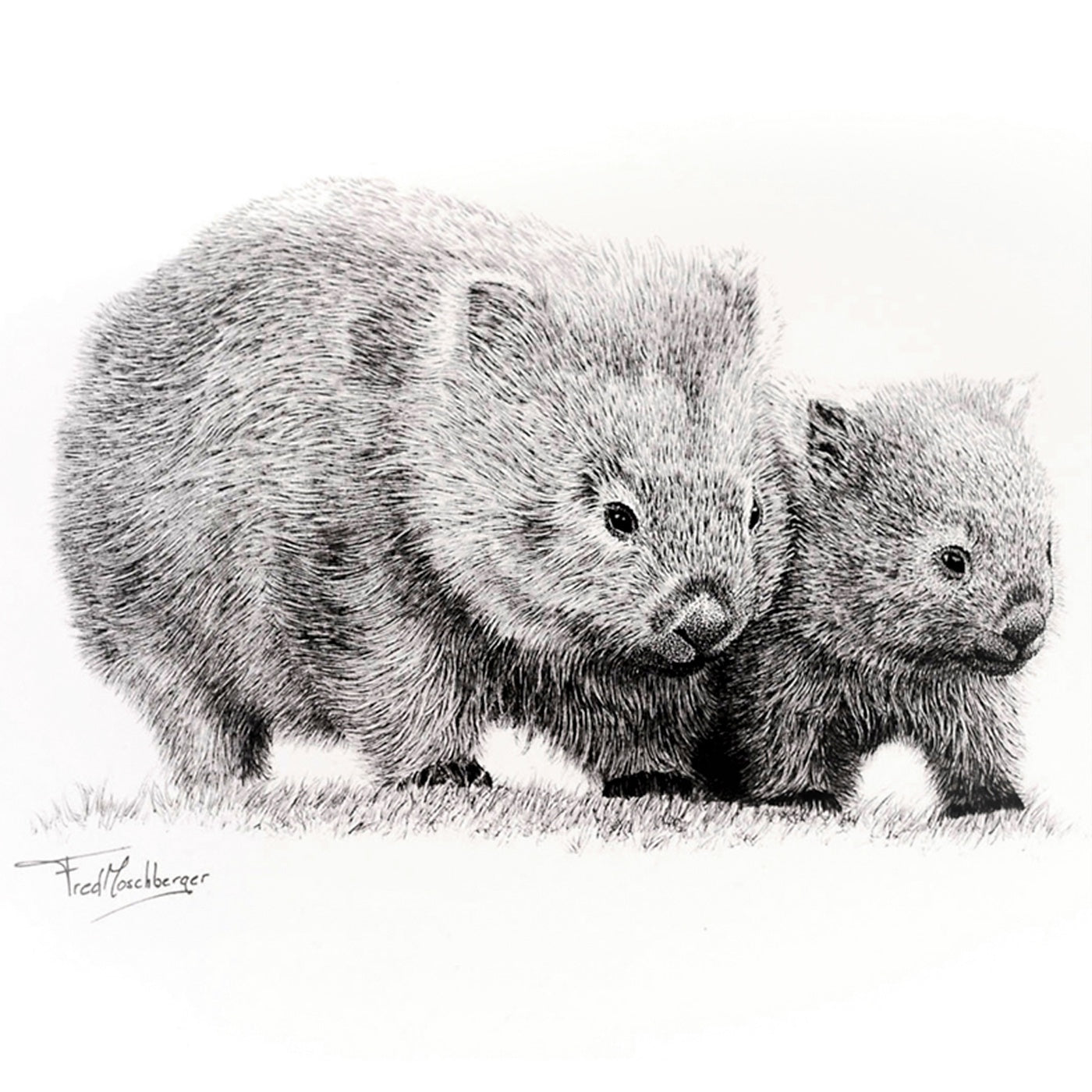 InkStreamArt - Art Print - Wombat Wamble