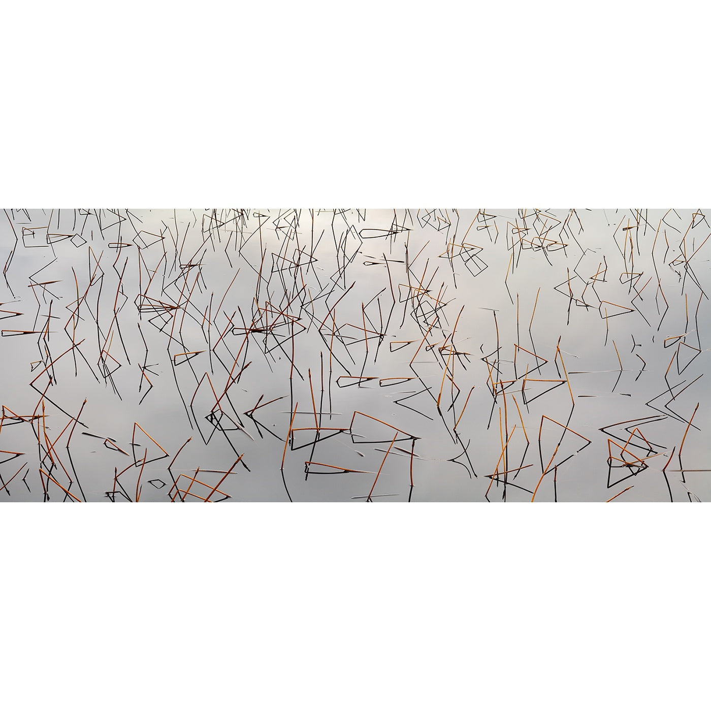 Chris Bell – Reeds and Reflections 3