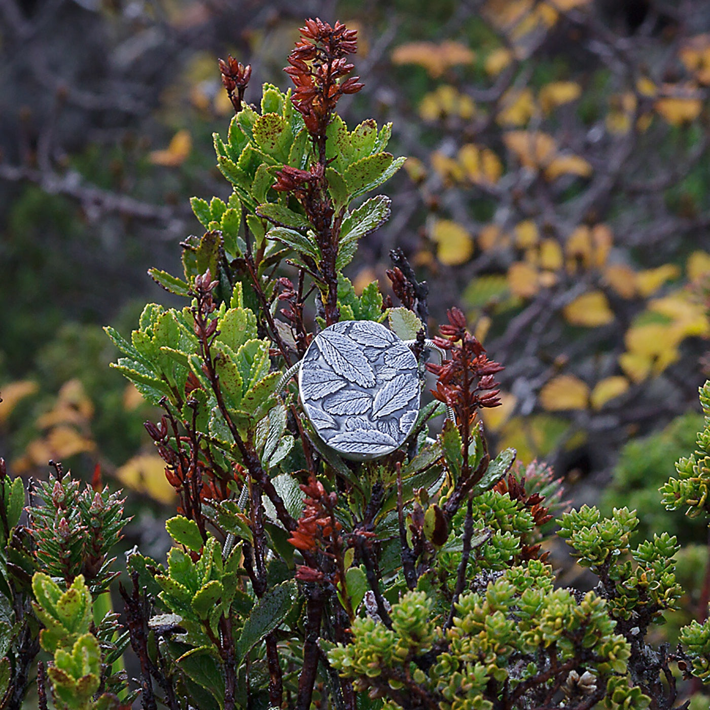 Olivia Hickey - Cameo Collection - Pendant - Delicate Laurel - Sterling Silver (Oxidised)