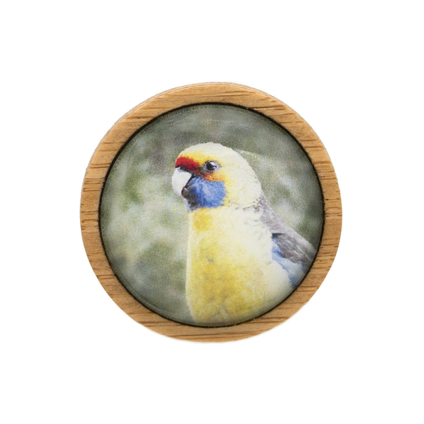 Myrtle & Me - Brooch - Green Rosella (Discontinued)