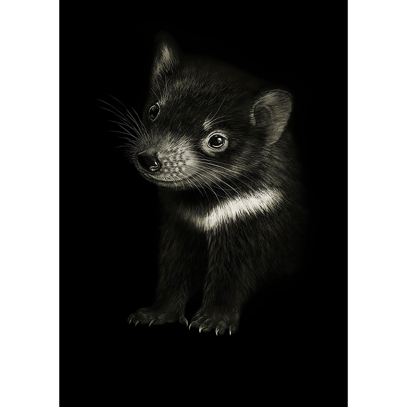Rebecca Robinson - Art Print - Tasmanian Devil