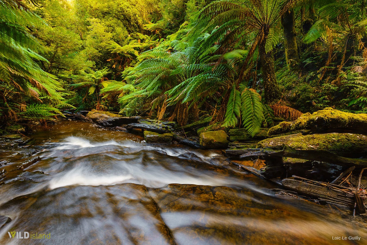 Loic Le Guilly - Isabella Creek