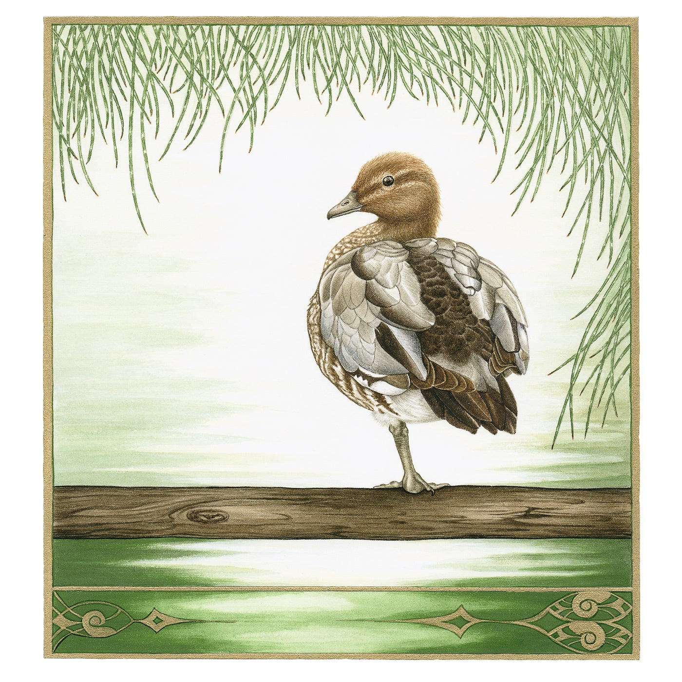 Sylvie Gerozisis - Birds of Tasmania - Art Print - Wood Duck, Female
