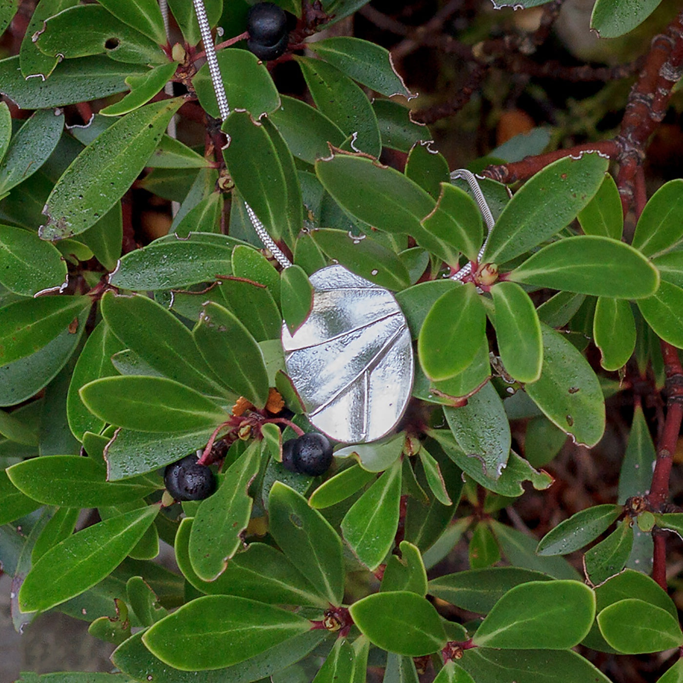 Olivia Hickey - Cameo Collection - Pendant - Mountain Pepper - Sterling Silver