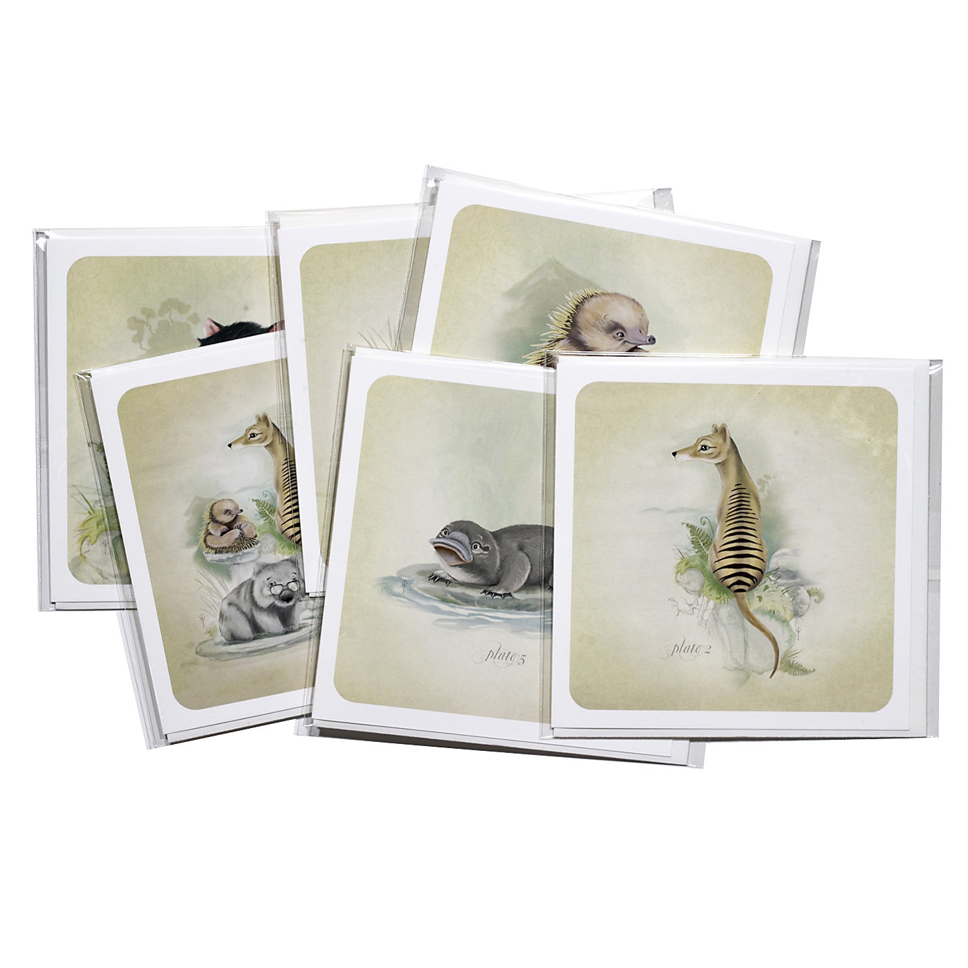 Terry Whidborne - Pack of 6 Cards