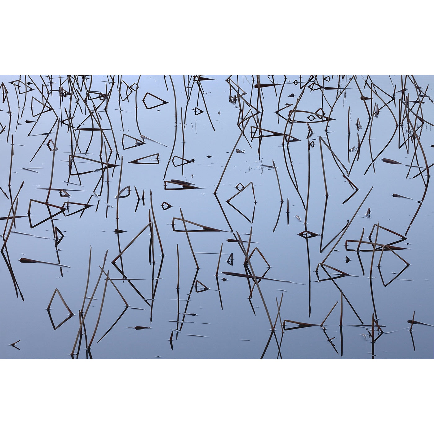 Chris Bell – Reeds and Reflections 2