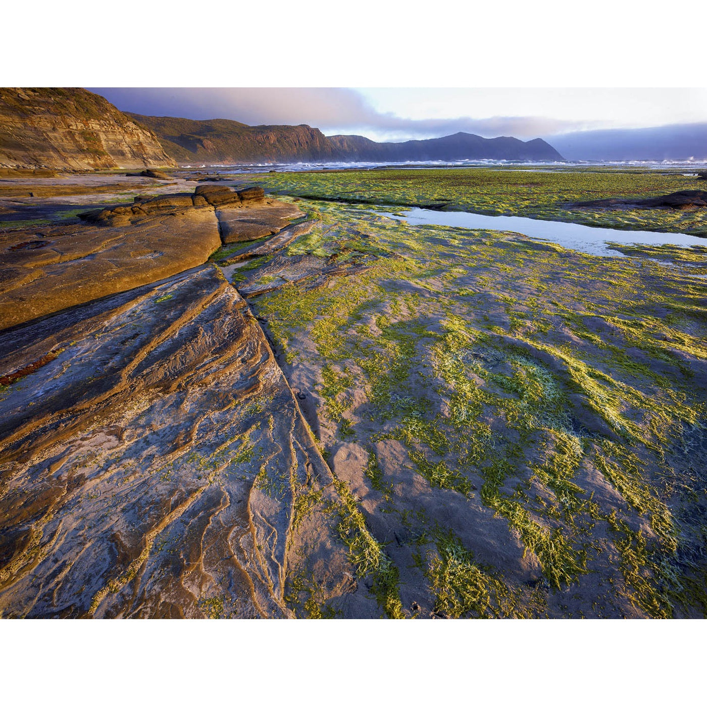 Rob Blakers - South Coast Tasmania - Rock Shelf