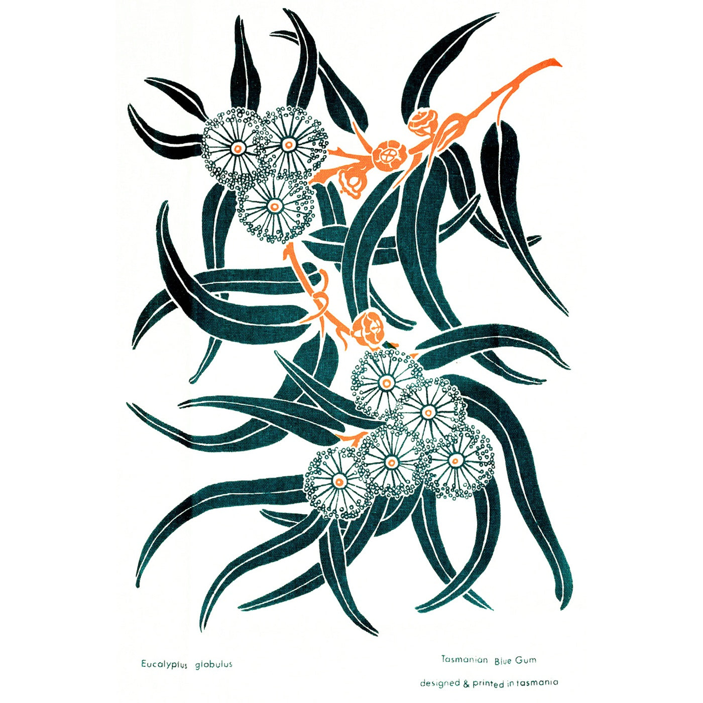 The T-Towel Gallery - Tea Towel - Blue Gum