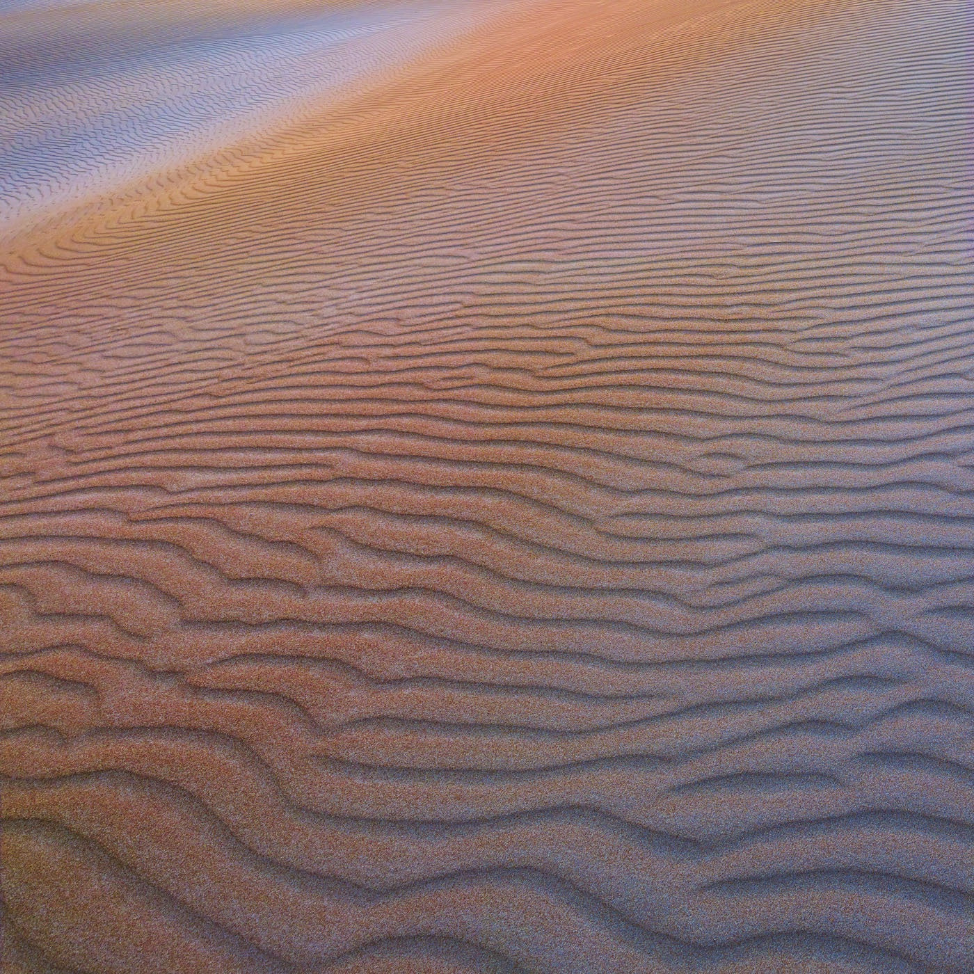 Rob Blakers - Takayna - Dune 1