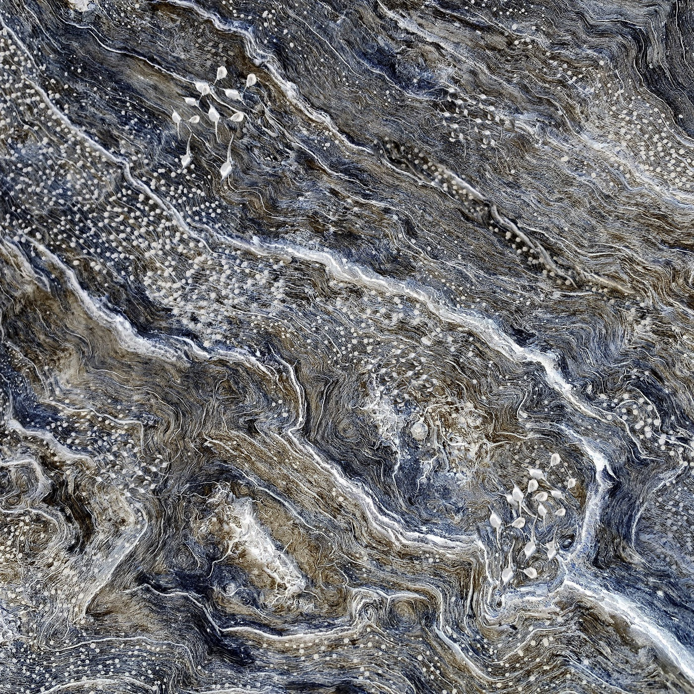 Barbara Tassell - Cathedral's Ground