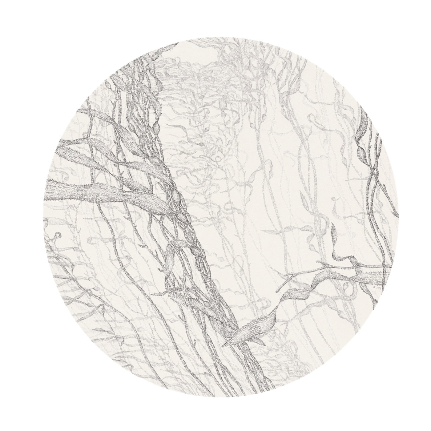 Amanda Walker - Wave, Giant Kelp