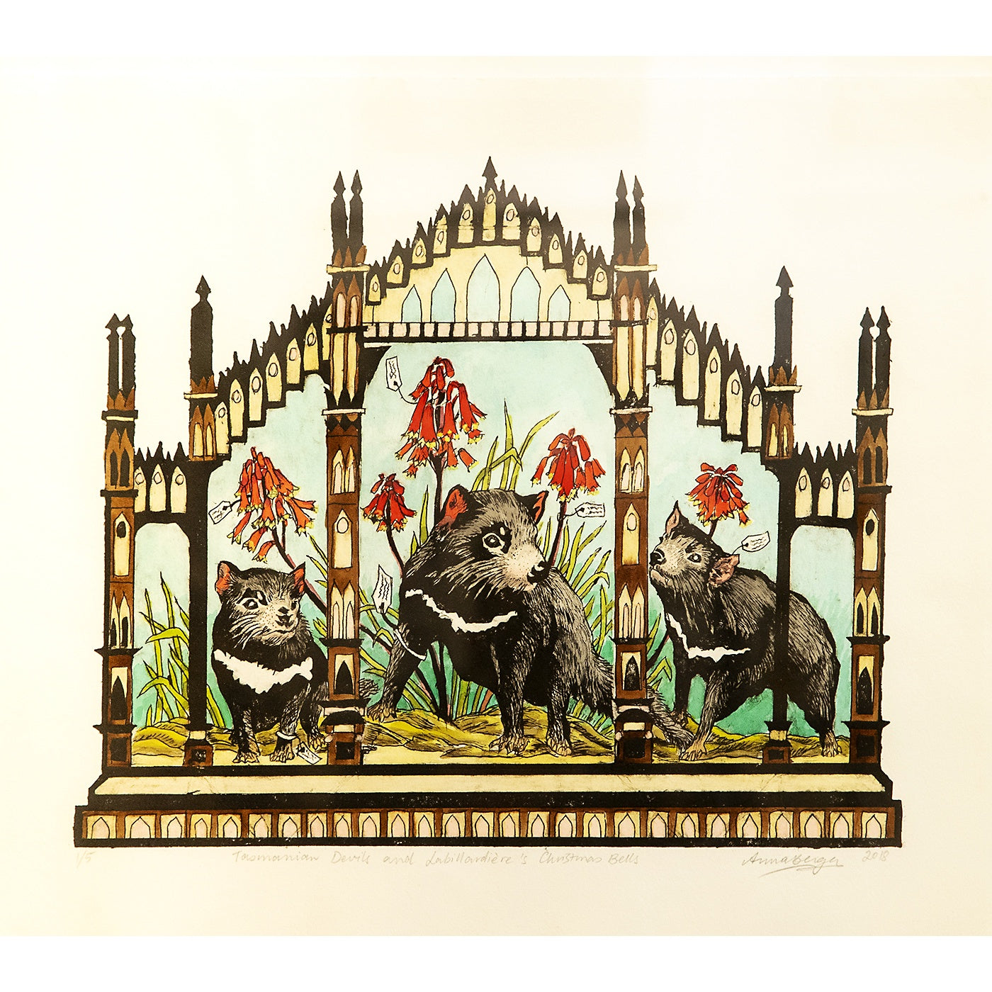 Anna Berger - Tasmanian devils and Labillardiere's Christmas Bells
