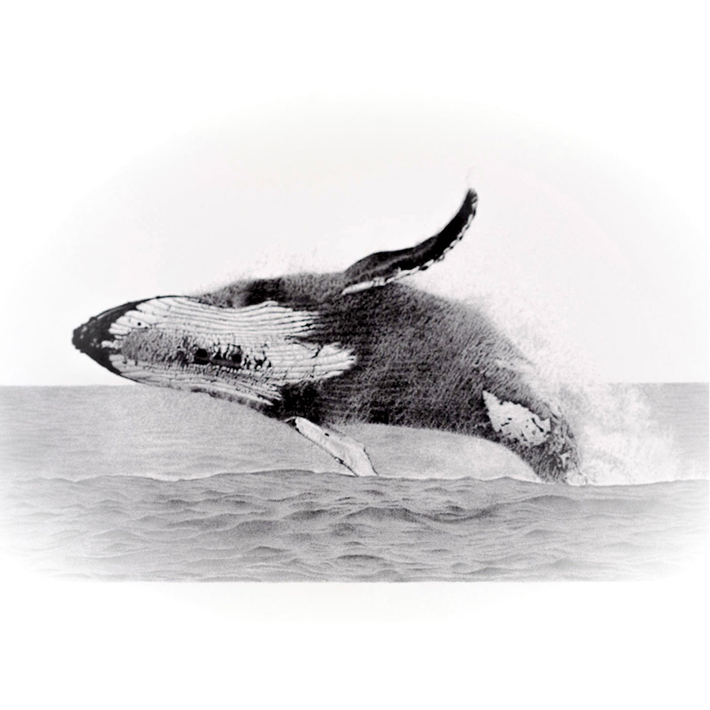 InkStreamArt - Art Print - Power From the Deep