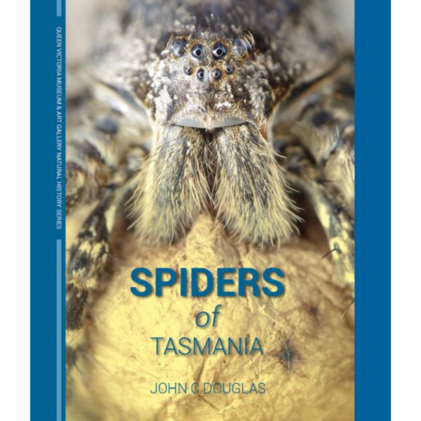 Spiders of Tasmania