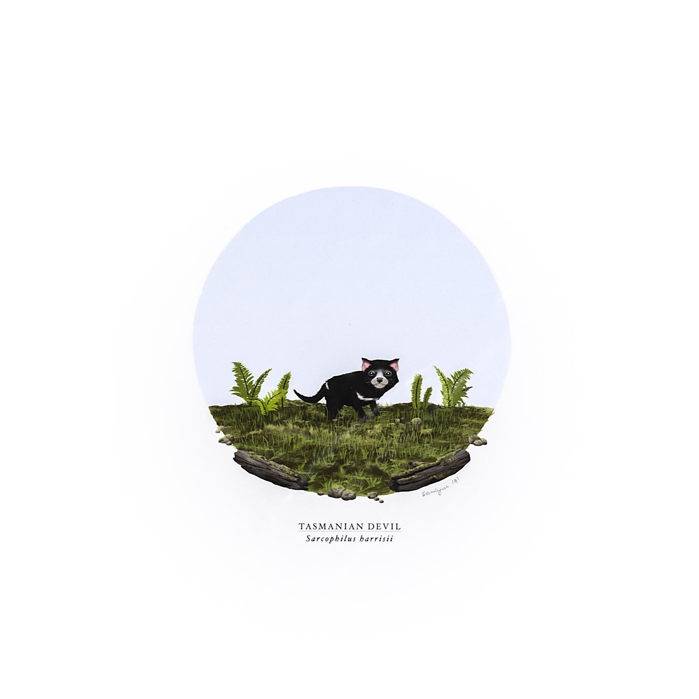 Sam Lyne - Art Print - Tasmanian Devil