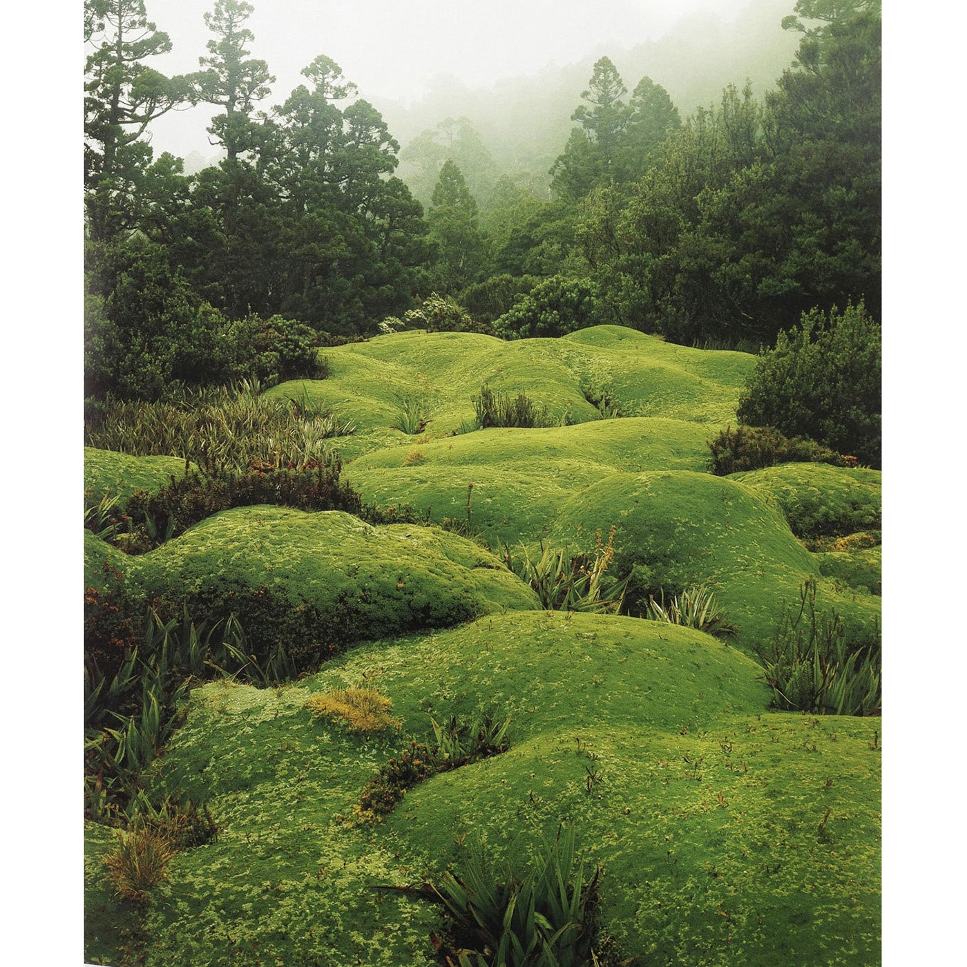 Peter Dombrovskis - Rock Island Bend - Wild Island Tasmania