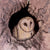 Lou-anne Barker - takayna Tyto (Masked owl)