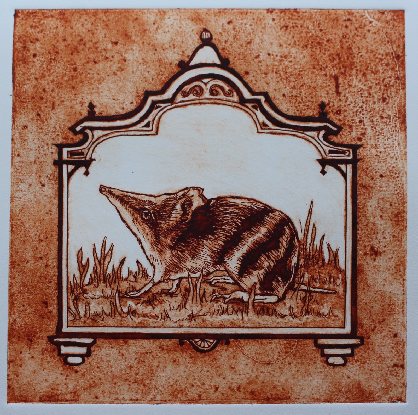 Anna Berger - Eastern Barred Bandicoot