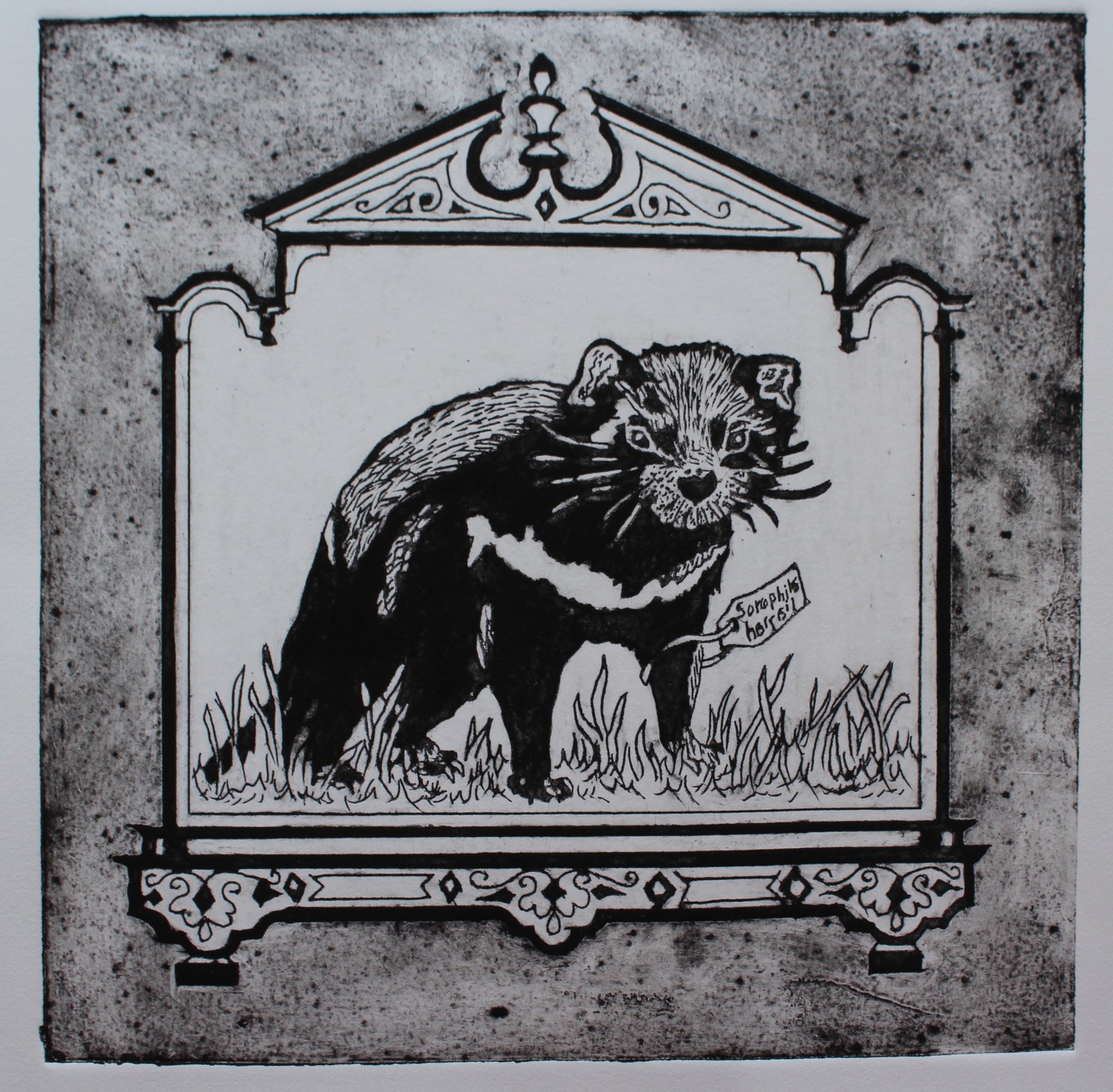 Anna Berger - Tasmanian Devil