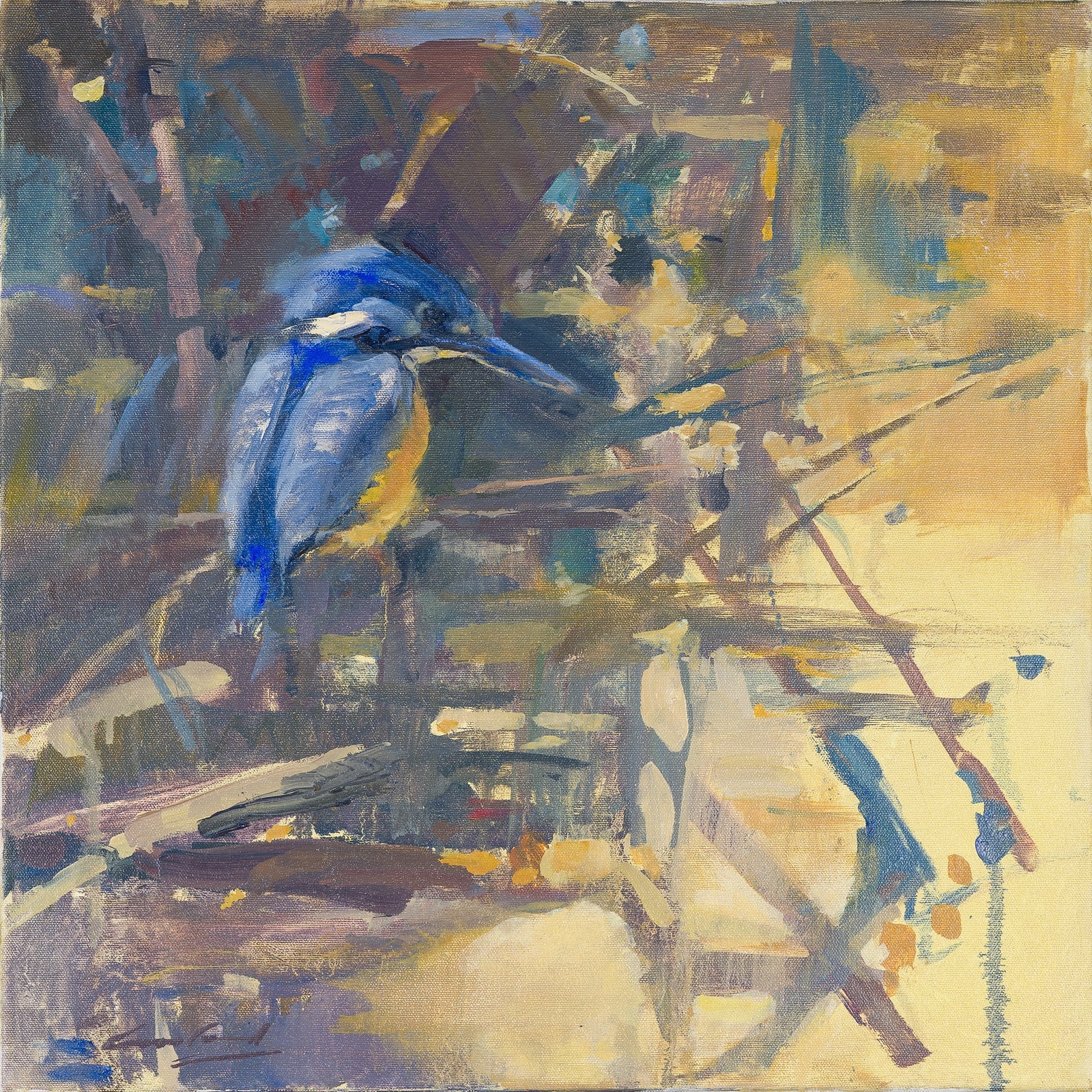 Rick Crossland - Azure Kingfisher