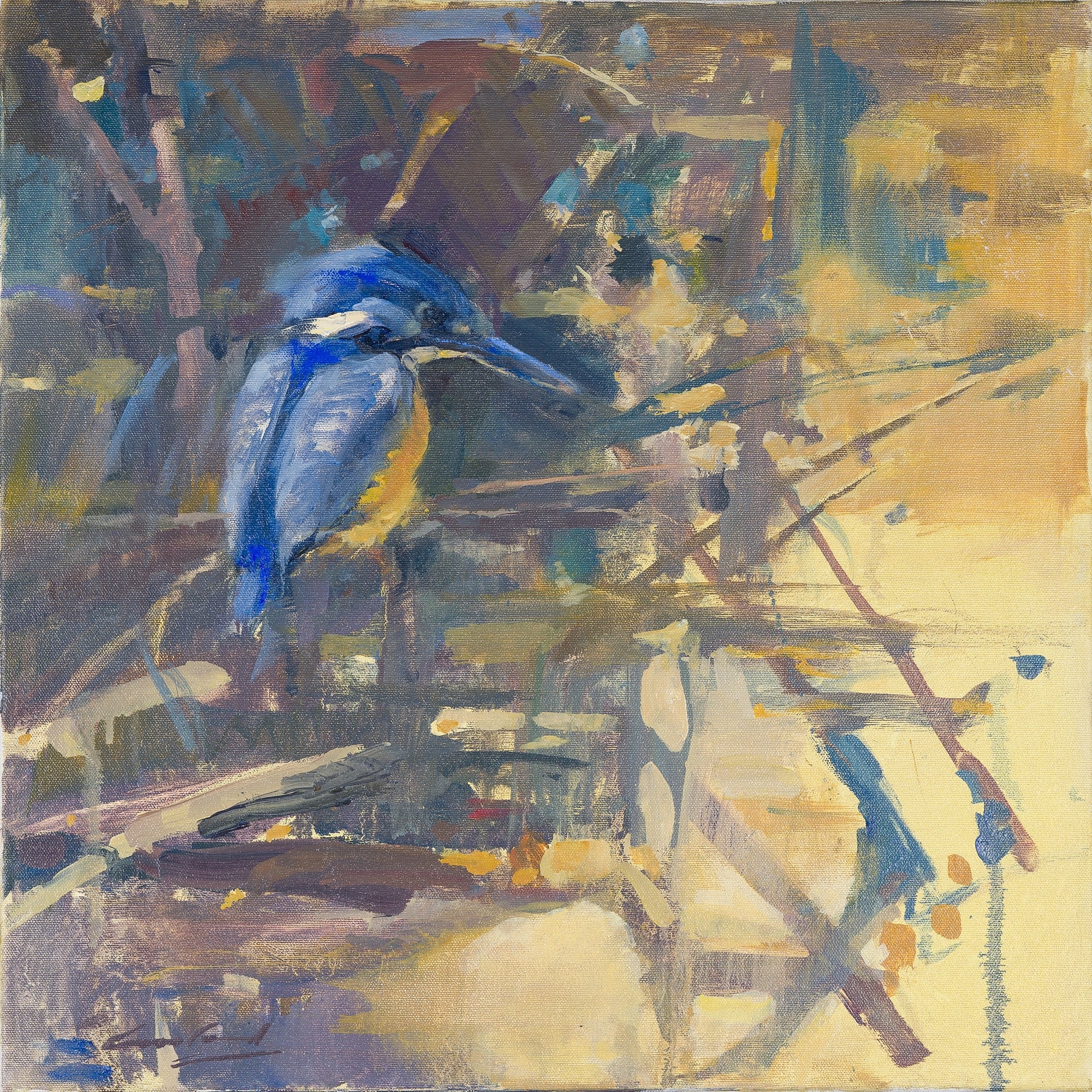 Rick Crossland - Azure Kingfisher