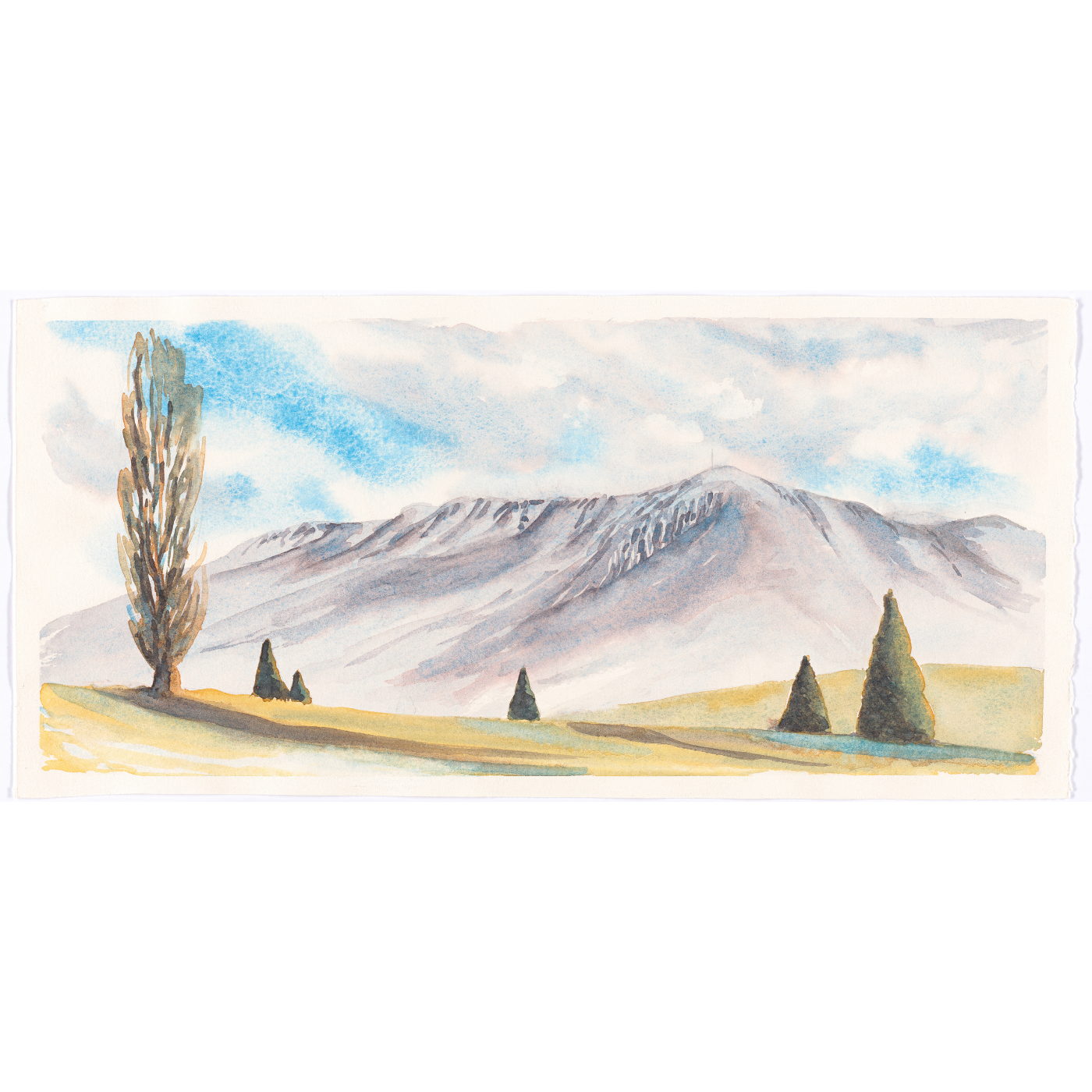 Nola Parsons - kunanyi from the Domain