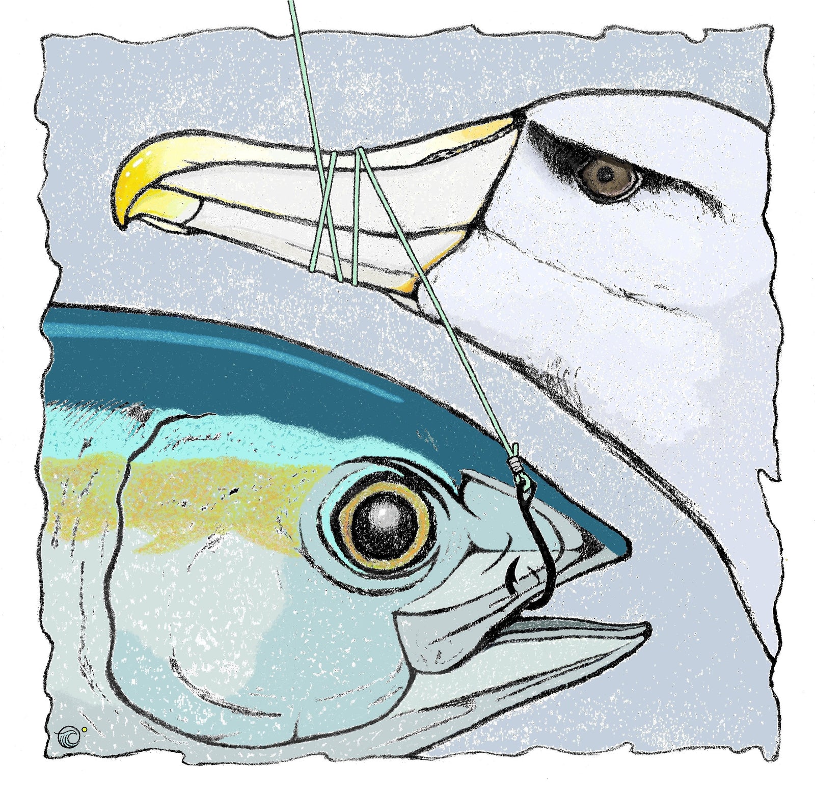 Fred Duncan - Stilled Life