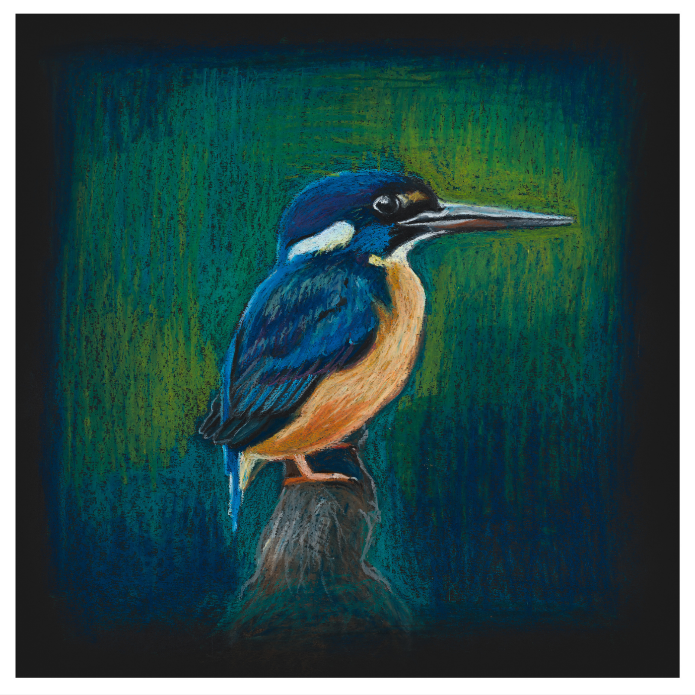 Else McAndrew - Ceyx azureus subsp. diemenensis