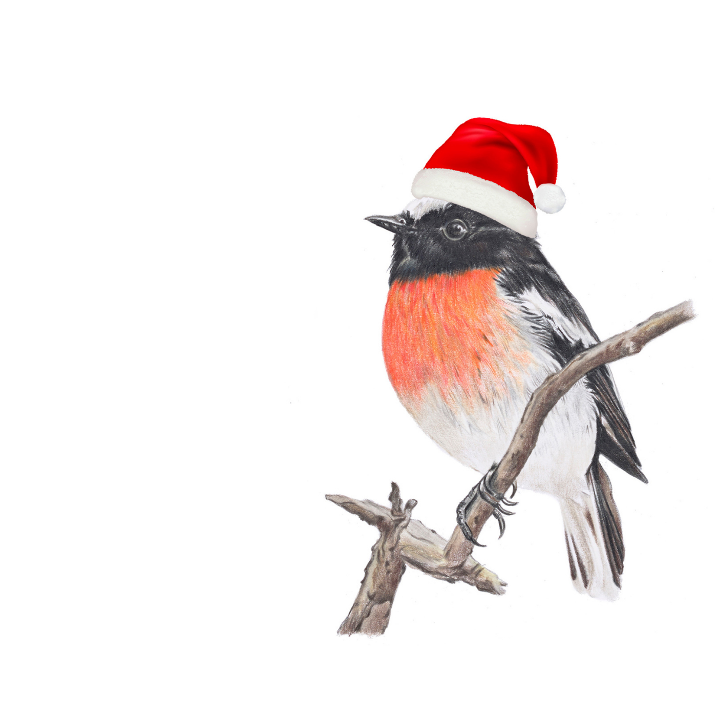 Hayley Wilson - Christmas Card - Scarlet Robin