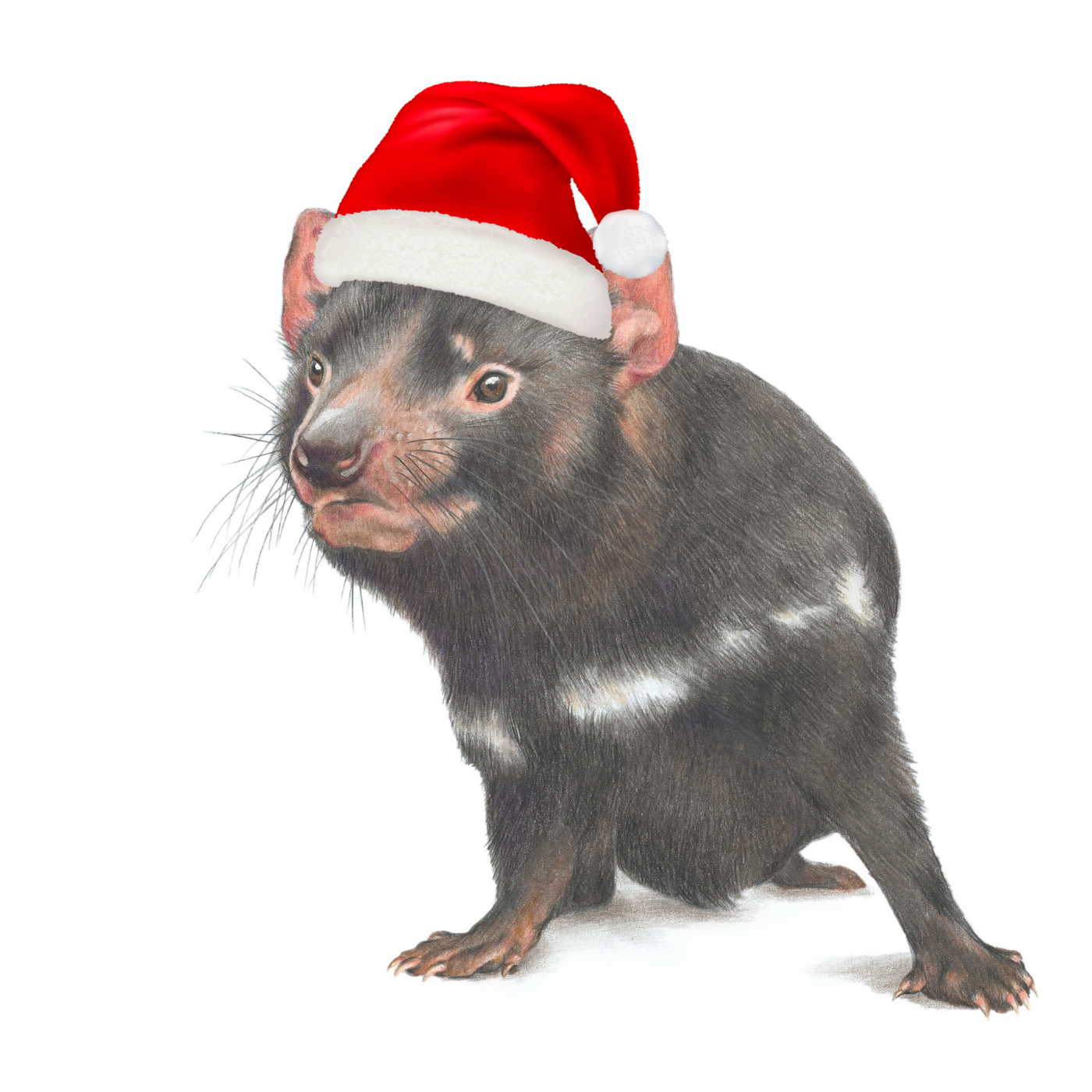 Hayley Wilson - Christmas Card - Tasmanian Devil