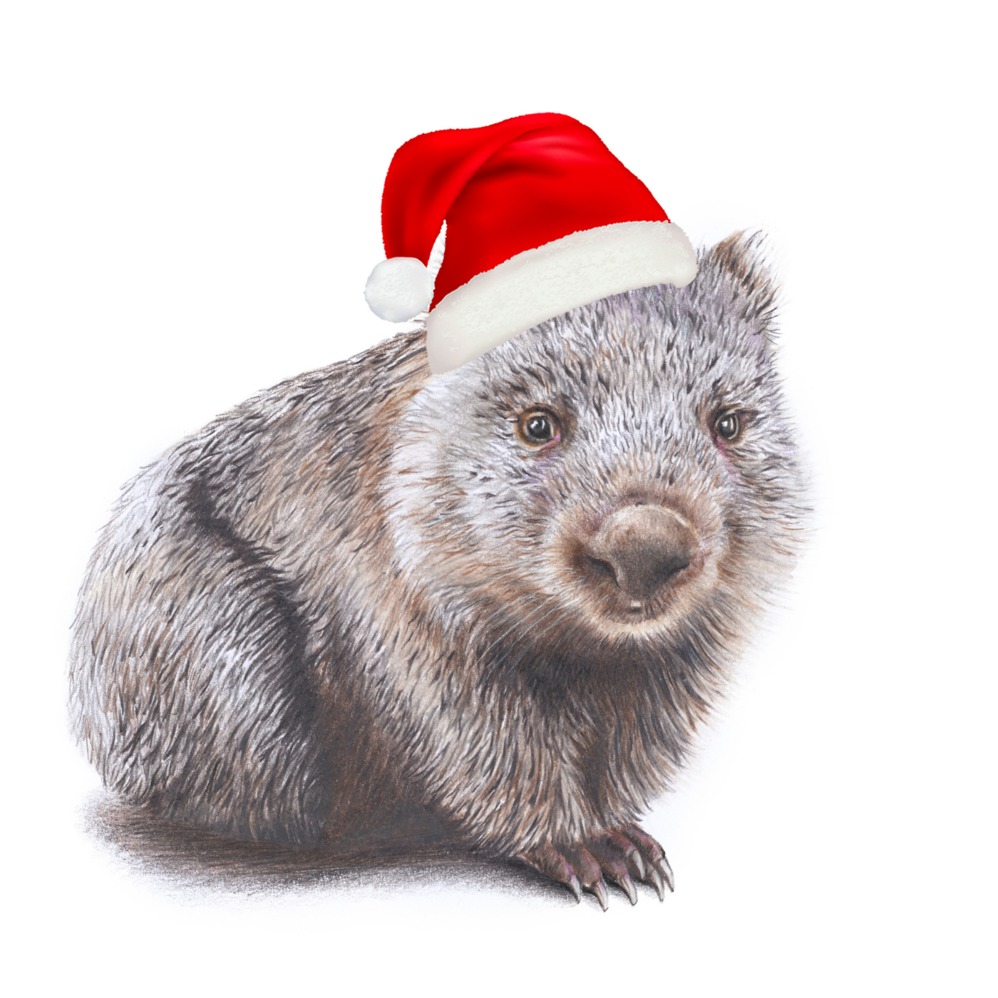 Hayley Wilson - Christmas Card - Wombat