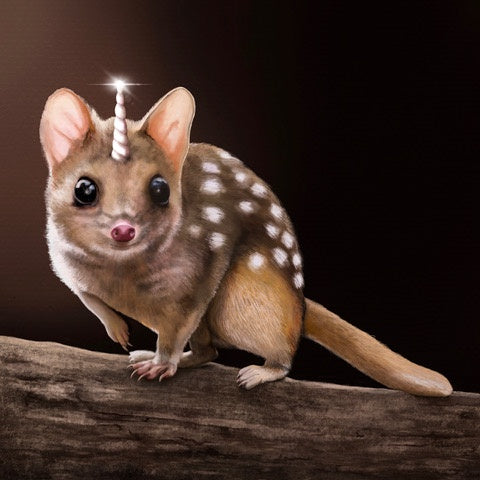 Cal Heath - Quollicorn